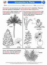 Science - Sixth Grade - Activity Lesson: Introduction to Plants