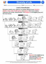 Science - Sixth Grade - Activity Lesson: Diversity of Life