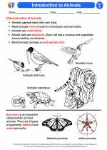 introduction to animals 6th grade science worksheets and answer key study guides and vocabulary sets