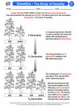 Science - Sixth Grade - Activity Lesson: Genetics - The Study of Heredity