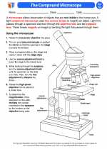 The World of Life Science. 7th Grade Science Worksheets and Answer key,  Study Guides and Vocabulary Sets.