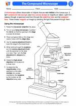 Science - Seventh Grade - Activity Lesson: The Compound Microscope