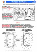 Science - Seventh Grade - Activity Lesson: Osmosis & Diffusion