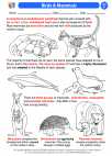 Science - Sixth Grade - Activity Lesson: Birds & Mammals