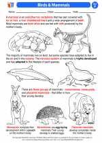 Science - Sixth Grade - Activity Lesson: Birds & Mammals