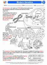 Science - Eighth Grade - Activity Lesson: Modern Genetics