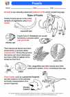 Science - Eighth Grade - Activity Lesson: Fossils