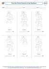 Mathematics - Seventh Grade - Exponents, Factors and Fractions - Worksheet: Find the Prime Factors