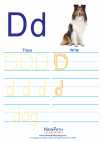 English Language Arts - First Grade - Activity Lesson: Letter D
