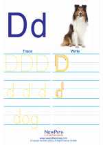 English Language Arts - First Grade - Activity Lesson: Letter D