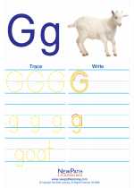 English Language Arts - First Grade - Activity Lesson: Letter G