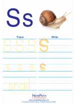 English Language Arts - First Grade - Activity Lesson: Letter S
