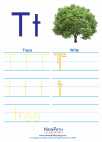 English Language Arts - First Grade - Activity Lesson: Letter T