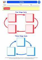 Science - Third Grade - Worksheet: Cycling