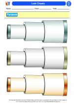 Science - Third Grade - Worksheet: Look Closely