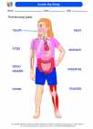 Science - First Grade - Human body - Worksheet: Inside the Body