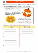 English Language Arts - Third Grade - Worksheet: Fact  & Opinion