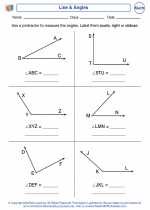 Mathematics - Fourth Grade - Activity Lesson: Line & Angles