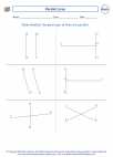 Mathematics - Fourth Grade - Lines and Angles - Worksheet: Identifying Parallel Lines