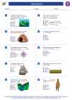Social Studies - Fifth Grade - Worksheet: Algonquians