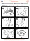 English Language Arts - First Grade - Activity Lesson: Animal Alphabet Cards