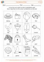 English Language Arts - First Grade - Activity Lesson: Alphabetical Order