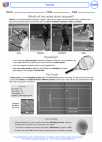 Health ED -  - Activity Lesson: Tennis