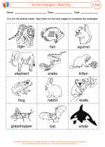 English Language Arts - Fourth Grade - Activity Lesson: Animal Analogies - Matching