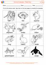 Animal Analogies Worksheet Answers 37 Animal Analogies For FREE A Z