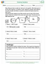 Mathematics - Third Grade - Worksheet: Growing Gardens