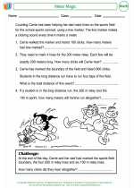 Mathematics - Third Grade - Worksheet: Meter Magic