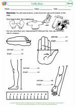 Mathematics - Second Grade - Activity Lesson: Crafty Buzz