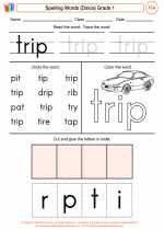 English Language Arts - First Grade - Worksheet: Spelling Words (Dolce)