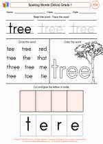 English Language Arts - First Grade - Worksheet: Spelling Words (Dolce)