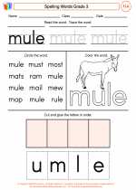 English Language Arts - Third Grade - Worksheet: Spelling Words