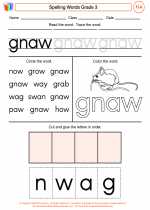 English Language Arts - Third Grade - Worksheet: Spelling Words