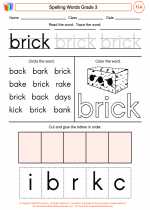 English Language Arts - Third Grade - Worksheet: Spelling Words