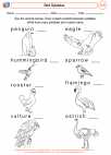 English Language Arts - Fourth Grade - Syllables/Spelling Patterns - Worksheet: Animal Syllables