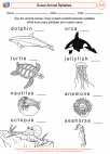 English Language Arts - Fourth Grade - Syllables/Spelling Patterns - Worksheet: Animal Syllables