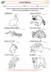 English Language Arts - Second Grade - Syllables - Worksheet: Animal Syllables