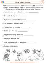 English Language Arts - Fourth Grade - Worksheet: Animal Facts & Opinions