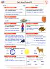 English Language Arts - Third Grade - Fact/Fiction/Opinion - Worksheet: Daily Spiral Review 15