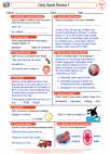 English Language Arts - Fourth Grade - Roots/Prefixes/Suffixes - Worksheet: Daily Spiral Review 1