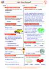 English Language Arts - Fourth Grade - Main Idea - Worksheet: Daily Spiral Review 7