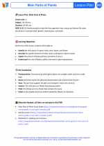 Science - Third Grade - Lesson plan: Main Parts Of Plants - Bundle