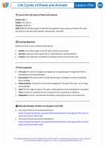 Science - Third Grade - Lesson plan: Life Cycles of Plants and Animals - Bundle