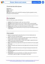 Science - Fifth Grade - Lesson plan: Roots, Stems and Leaves - Bundle